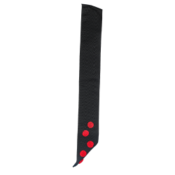 SAUTOIR 9ÈME DEGRÉ